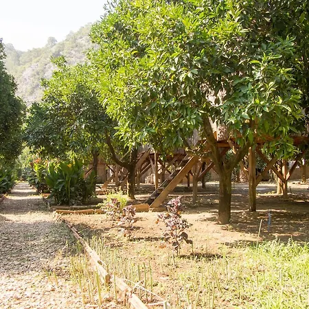 Saban Tree פארק נופש Kumluca