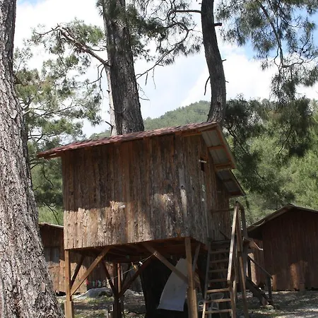 פארק נופש Saban Tree Kumluca