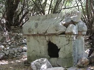 פארק נופש Saban Tree